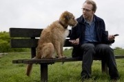 Всё могу / Absolutely Anything (2015)