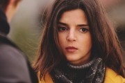 Переводчик (2015)