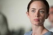 Убийца / Sicario (2015)