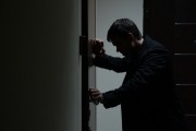 Саранча (2013)