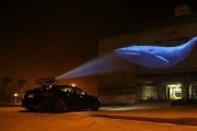 Гонка на вымирание / Racing Extinction (2015)