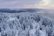 Находка (2015)