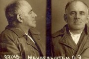 Сохрани мою речь навсегда (2015)