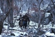 Великий тигр / Daeho (2015)