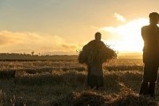 Песнь заката / Sunset Song (2015)