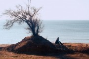 Последняя ночь (2015)