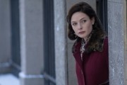 Несмотря на падающий снег / Despite the Falling Snow (2016)