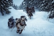 Биркебейнеры / Birkebeinerne (2016)