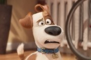 Тайная жизнь домашних животных / The Secret Life of Pets (2016)