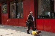 Такса / Wiener-Dog (2016)