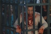 Ночные стражи (2016)