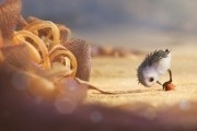 Песочник / Piper (2016)