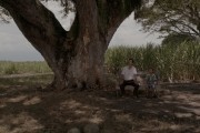 Земля и тень / La tierra y la sombra (2015)