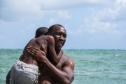 Лунный свет / Moonlight (2016)