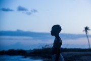 Лунный свет / Moonlight (2016)