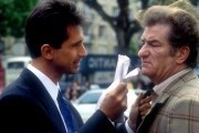 Тотальная слежка / La totale! (1991)