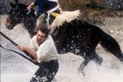 Орел Шарпа / Sharpe's Eagle (1993)
