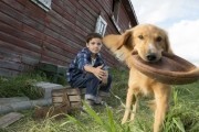   / A Dog's Purpose (2017)