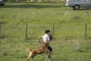  / A Dog's Purpose (2017)