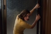 Волки у двери / Wolves at the Door (2016)