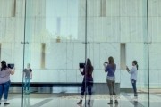 Сфера / The Circle (2017)