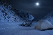 Влюбленные и медведь / Two Lovers and a Bear (2016)
