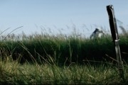 Дух балтийский (2016)