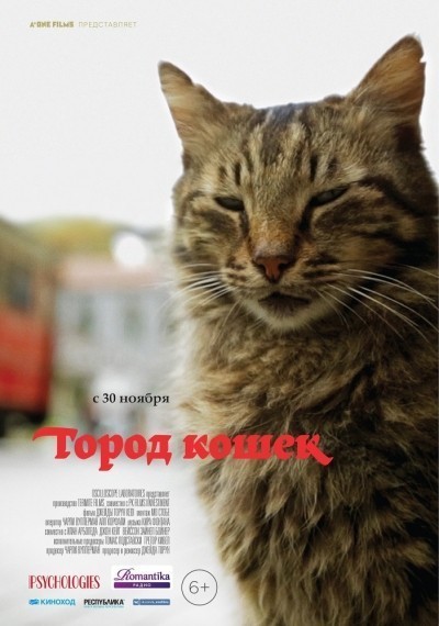   / Kedi (2016)