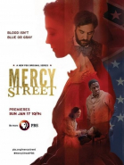 Улица милосердия - сериал / Mercy Street (2016)