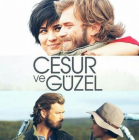 Отважный и красавица - сериал смотреть онлайн
