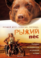 Рыжий пес смотреть онлайн
