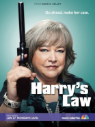 Закон Хэрри - сериал / Harry\'s Law (2011-2012)